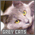 Cats: Grey: 