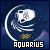 Astrology: Aquarius: 