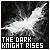 The Dark Knight Rises: 