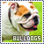 Dogs: Bulldogs: 